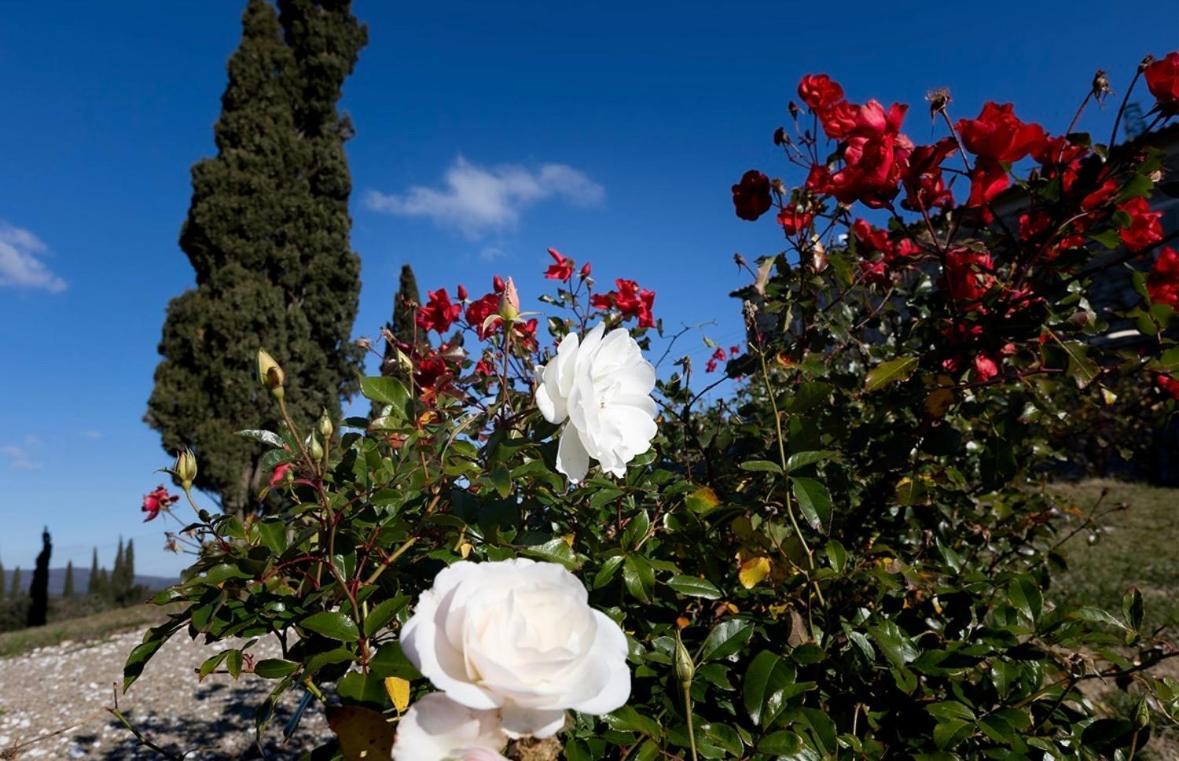 Agriturismo Il Ghiaccio Суверето Екстер'єр фото